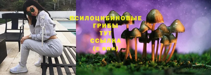 hydra зеркало  Новомичуринск  Псилоцибиновые грибы Psilocybine cubensis 